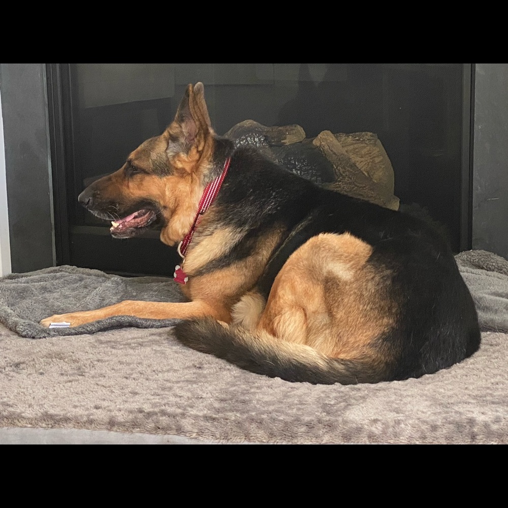 Meet your Posher, Elle